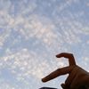 lina_abdelsalam