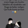 user8577258024253