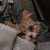 user8290405101781