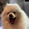 ..aninhaaaaaaa