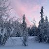 auroras_907