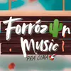 Forrozin Music