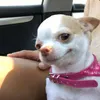 shay_shay.00