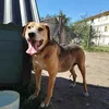 gilmarsotoii