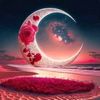 nagla.ashraf80
