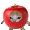 fzlgvlgh