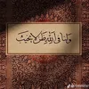 user1230269706863