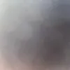 paypig7771