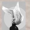 afrah015