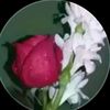 tumiamarrs4