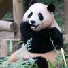 panxiu1
