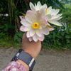 tasmin.jannat89