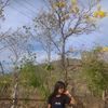 san.dar.phyo46