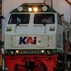 rafa_railsindonesia