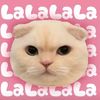 urlove_tifa0