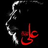 faizan.ali3687