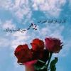 shnaz335