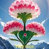 user2516010255637g