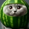 watermeloncatt