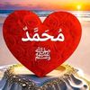 user83482557263158