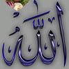 user602032485772