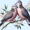 sumon345353