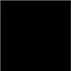 cmnhungl16