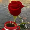 .gdnkcxot