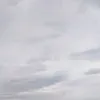 notwhoyou_expect