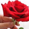 hasan.alshehhi28
