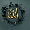 muhammad.naseem9320