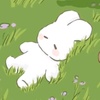 little.bunny229