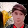 ziauddin65990