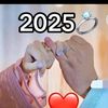 user7769195833002