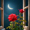 muhammed.mubashir33