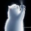 beauty_of_uk__01