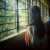 unbthrd_lia