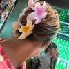 polina347622