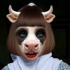 ansa_alya