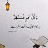rashidkhan012340