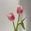 anetteartm