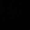 apa4nsi1