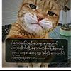 user2818086005256
