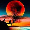 hamdi.ahmed349