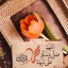 tina_line313