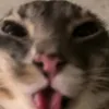 michael_745685