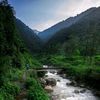 praveen_nayak_1996