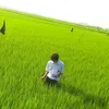 anan_l41