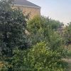 umra_elisleri