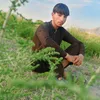 hasnain12542